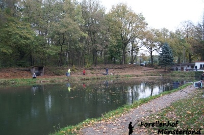 Lachsforellenangeln_2