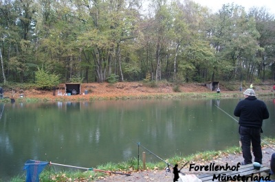 Lachsforellenangeln_3