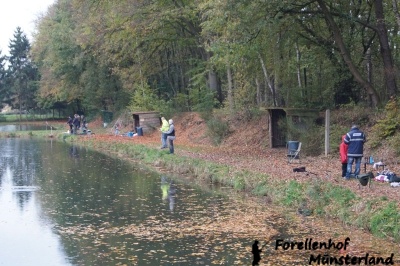 Lachsforellenangeln_10