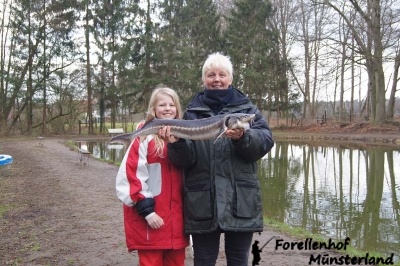 Lachsforellenangeln April 13_2