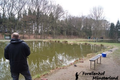 Lachsforellenangeln April 13_8