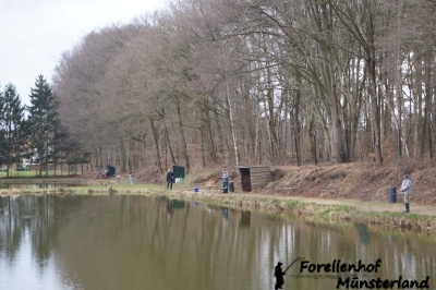 Lachsforellenangeln April 13_10