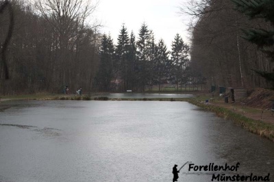 Lachsforellenangeln April 13_12