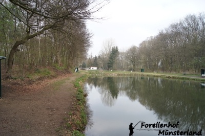 Von Teich 2 zum Eingang