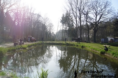 Kinderteich (Teich 4.) 1