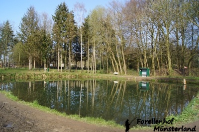 Gruppenteich (Teich 3.)