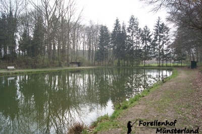 Teich 2.