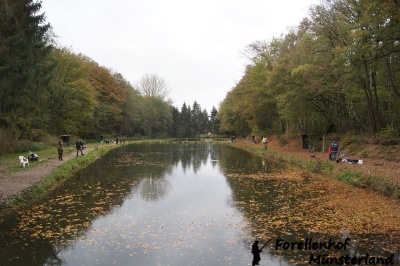 Lachsforellenangeln _2