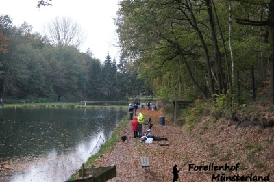 Lachsforellenangeln _5