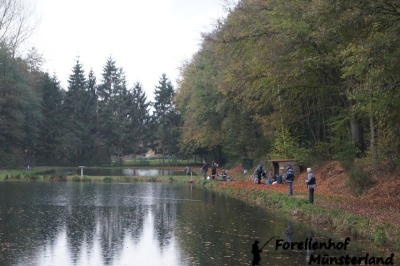 Lachsforellenangeln _7