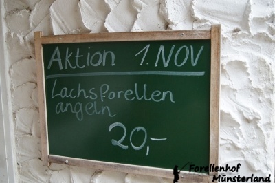 Lachsforellenangeln _10