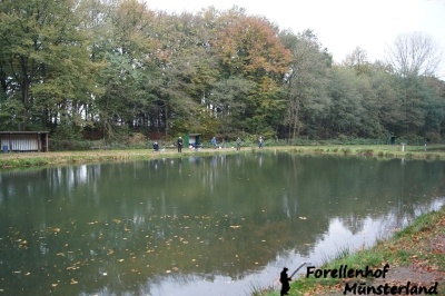 Lachsforellenangeln _2