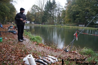 Lachsforellenangeln _7